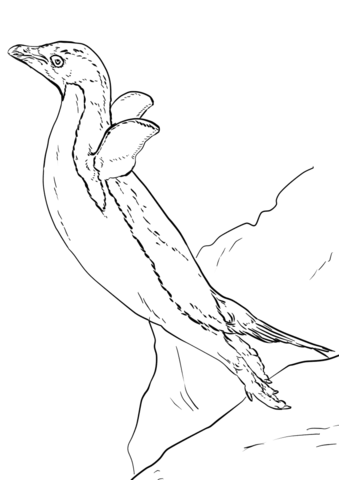 Adelie Penguin Leap Of Faith Coloring Page